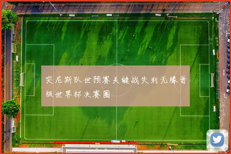 突尼斯队世预赛关键战失利无缘晋级世界杯决赛圈