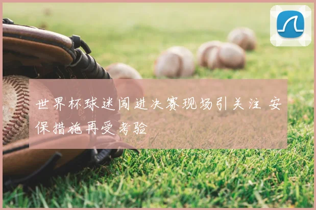 世界杯球迷闯进决赛现场引关注 安保措施再受考验